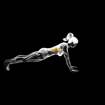 Plank Arm Lift demonstration