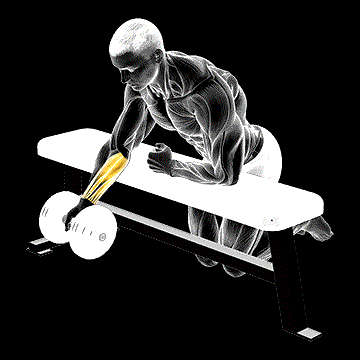 Dumbbell Over Bench One-Arm Reverse Wrist Curl demonstration