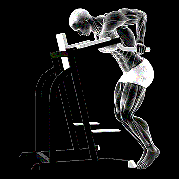 Dip Hold demonstration