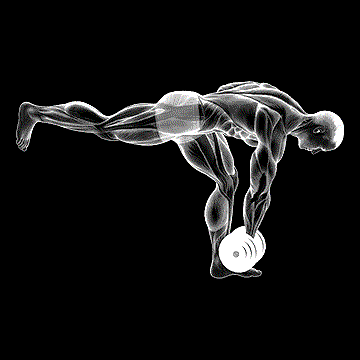 Dumbbell RDL Stretch demonstration