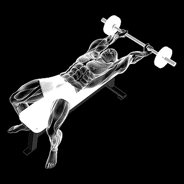 Barbell Pullover Hold demonstration