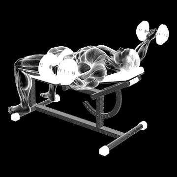 Dumbbell Incline 30 Degrees Flye Hold demonstration