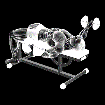 Dumbbell Flat Flye Hold demonstration