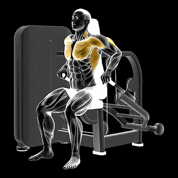 Lever Seated Dip demonstration