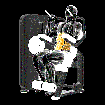 Lever Seated Crunch demonstration