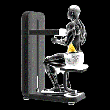 Lever Seated Twist demonstration