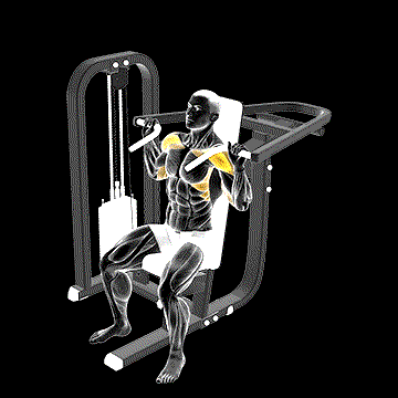 Lever Seated Shoulder Press demonstration