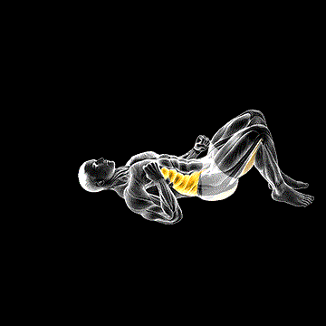 Twist Hip Lift demonstration