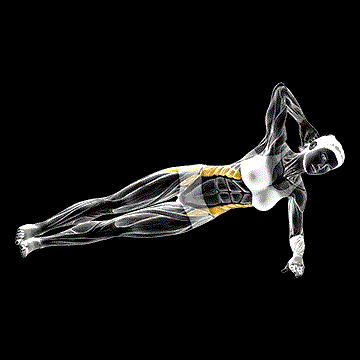 Lateral Side Plank (Bent Leg) demonstration