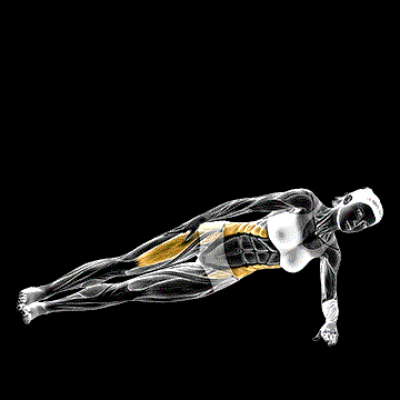 Lateral Side Plank demonstration