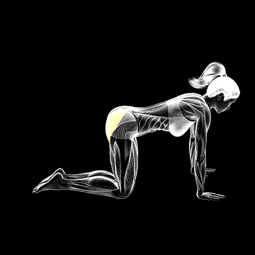 Bent-Leg Kickback (Kneeling) demonstration