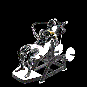 Lever Incline Chest Press demonstration