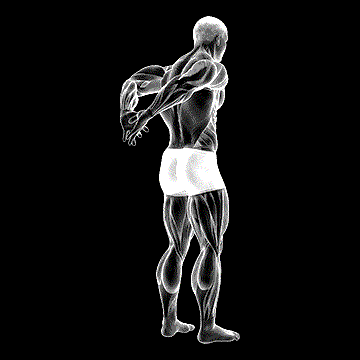 Bicep Stretch Behind The Back demonstration
