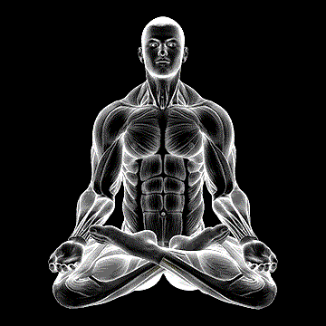 Full Lotus Yoga Pose demonstration