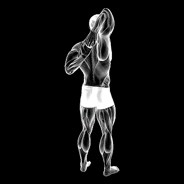 Shoulder Stretch Behind the Back demonstration