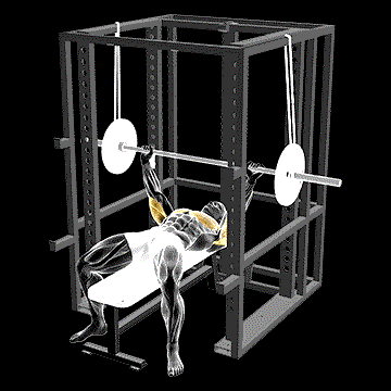 Barbell Reverse Band Bench Press demonstration