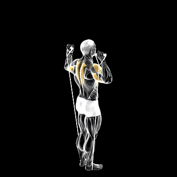 Band Behind-Neck Shoulder Press demonstration