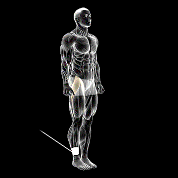 Band Hip Flexion demonstration