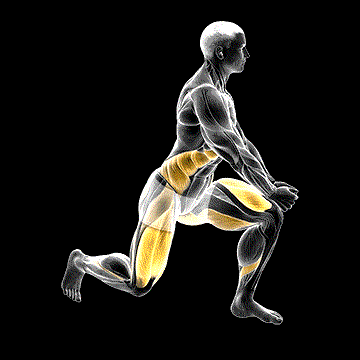 Crossover Reverse Lunge demonstration