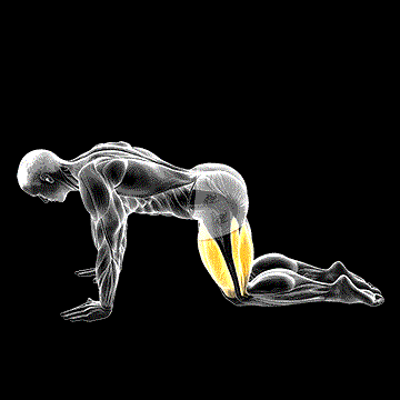 All-Fours Squat Stretch demonstration
