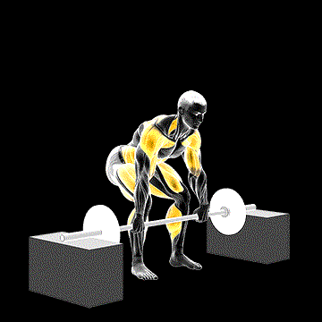Barbell Clean From Blocks demonstration