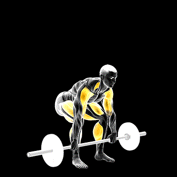 Barbell Clean Pull demonstration