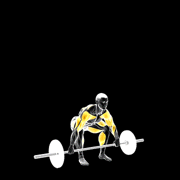 Barbell Muscle Snatch demonstration