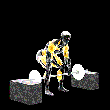 Barbell Power Clean from Blocks demonstration