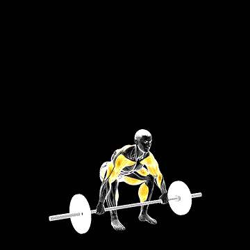 Barbell Power Snatch demonstration
