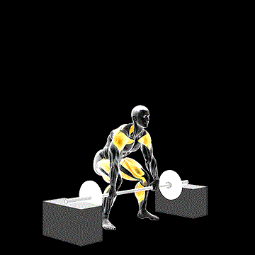 Barbell Snatch from Blocks demonstration