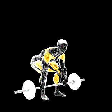 Barbell Split Clean demonstration