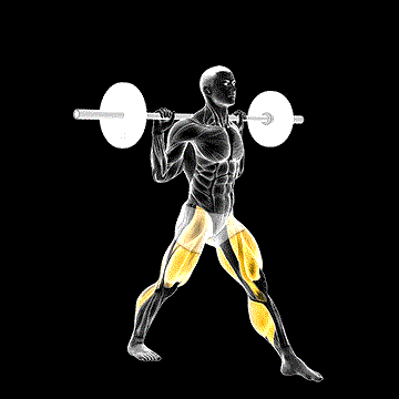 Barbell Split Jump demonstration