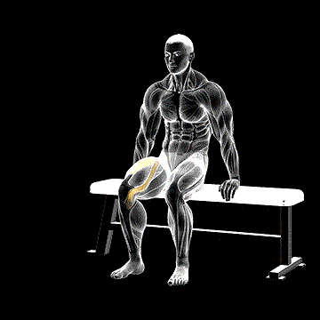 Chair Leg Extended Stretch demonstration