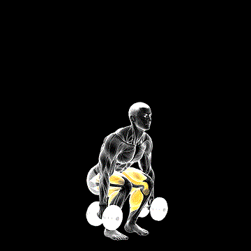 Dumbbell Jumping Squat demonstration
