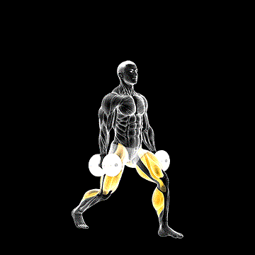 Dumbbell Split Jump demonstration