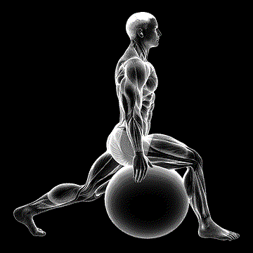 Exercise Ball Hip Flexor Stretch demonstration
