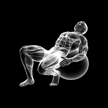 Exercise Ball Seated Quad Stretch demonstration