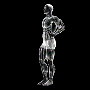 Front-Back Leg Raise demonstration