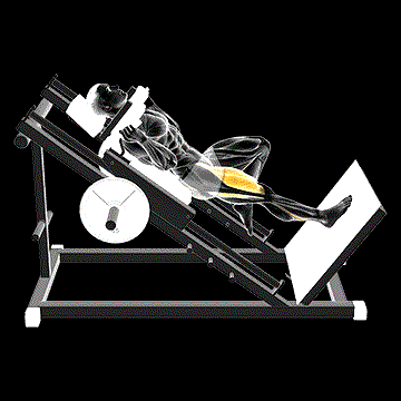 Sled One-Leg Hack Squat demonstration
