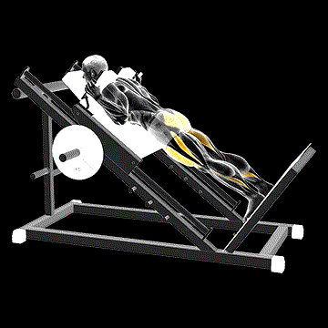 Sled Reverse Hack Squat demonstration