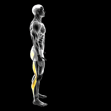 Runner's Stretch demonstration