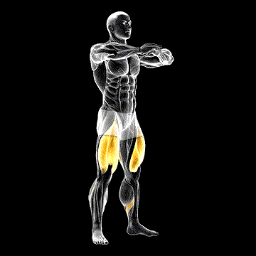 Sit Squat demonstration