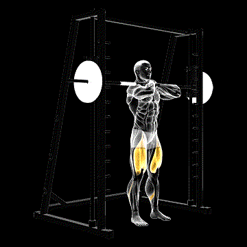 Smith Front Squat demonstration