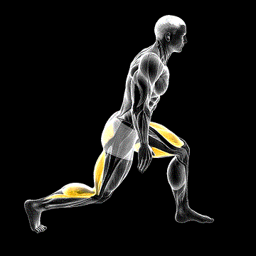 World Greatest Stretch demonstration
