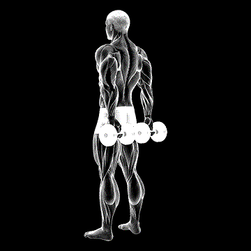 Dumbbell Behind-Back Finger Curl demonstration