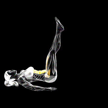 Alternate Leg Raise demonstration