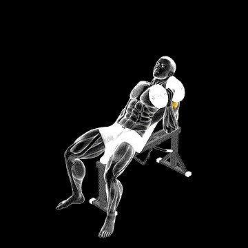 Dumbbell Incline One-Arm Hammer Press demonstration