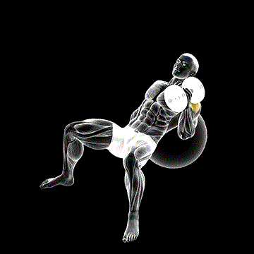 Dumbbell Incline One-Arm Hammer Press (w/ Exercise Ball) demonstration