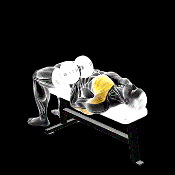 Dumbbell One-Arm Reverse-Grip Press demonstration