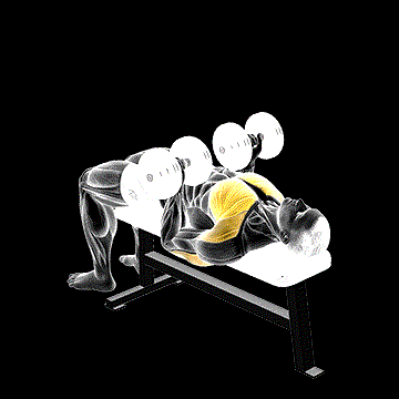 Dumbbell Reverse Bench Press demonstration